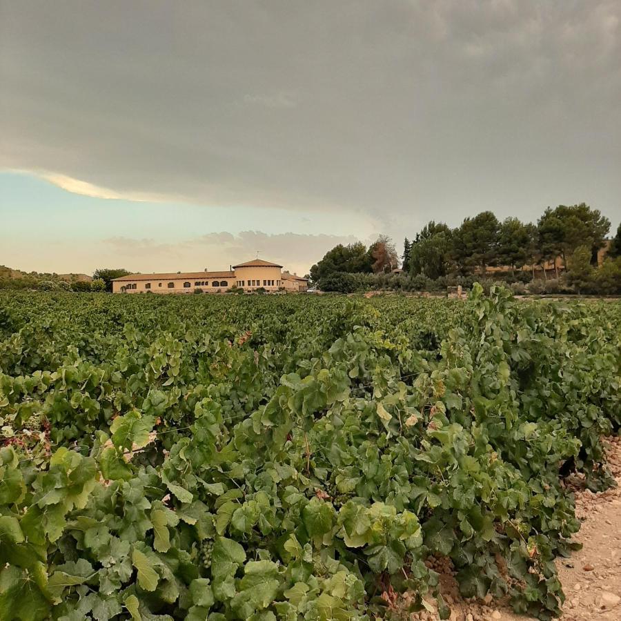 Hotel Enoturismo Mainetes Fuente-Álamo Esterno foto