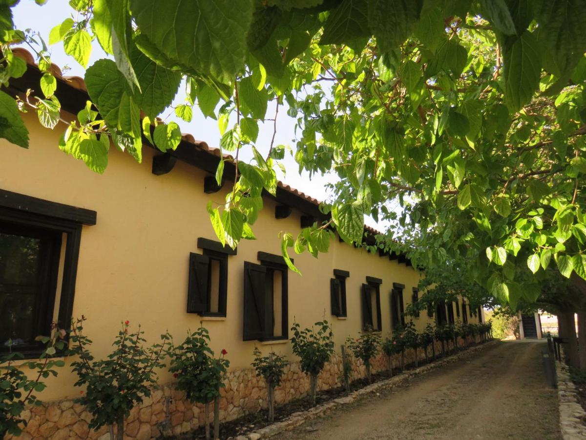 Hotel Enoturismo Mainetes Fuente-Álamo Esterno foto