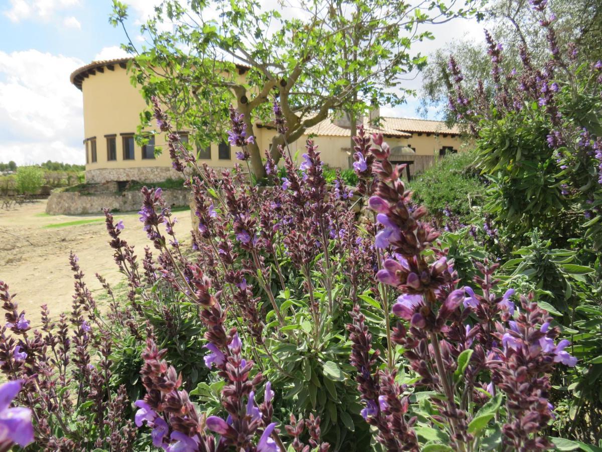 Hotel Enoturismo Mainetes Fuente-Álamo Esterno foto