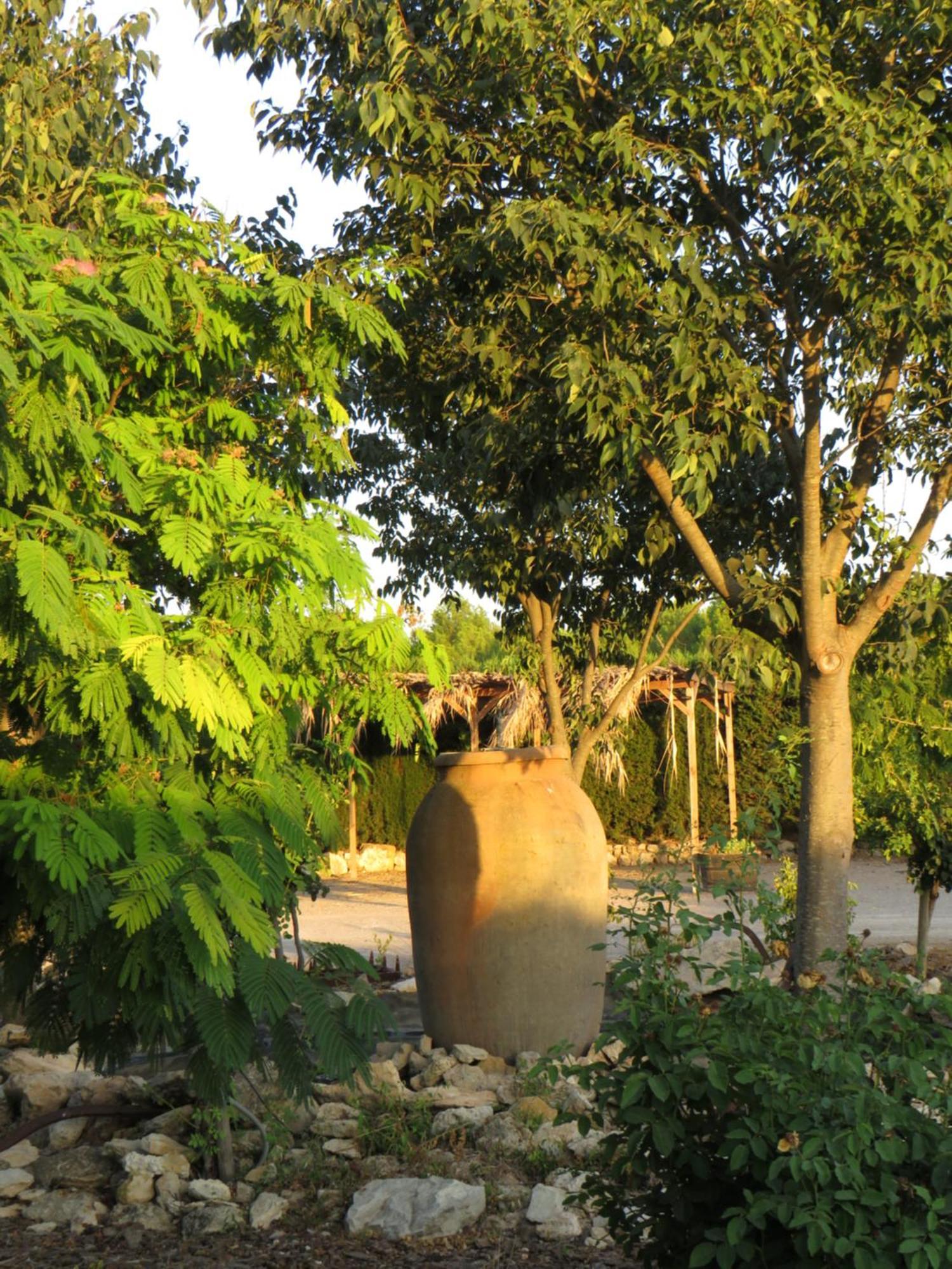 Hotel Enoturismo Mainetes Fuente-Álamo Esterno foto