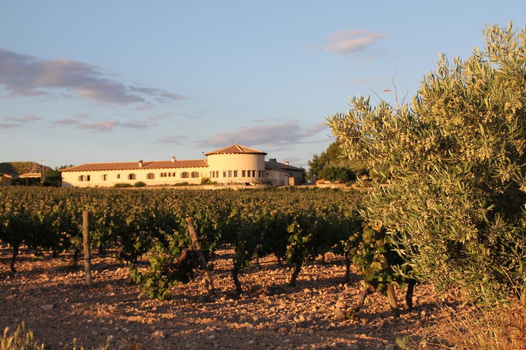 Hotel Enoturismo Mainetes Fuente-Álamo Esterno foto